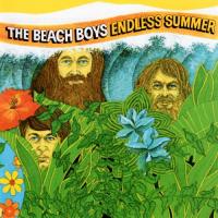 the beach boys - endless summer